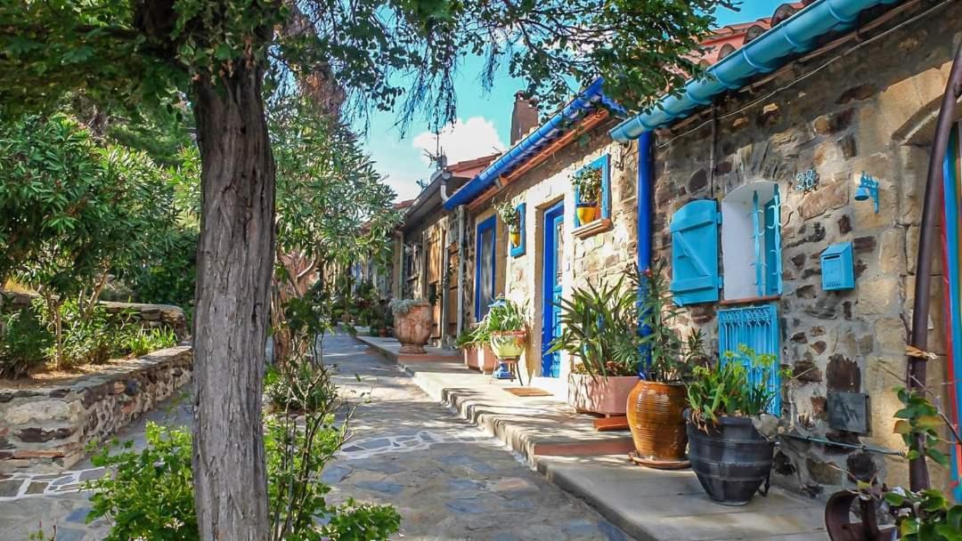 Maison Sur La Roche, Vue Mer Exceptionnelle, Parking Prive, Quartier Historique, Calme Villa Collioure Exterior foto